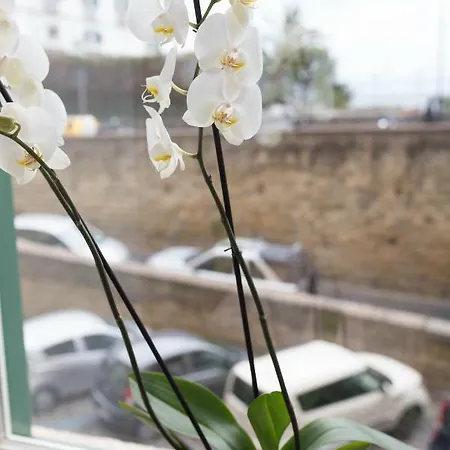 Pausilya By Dimorra דירה *